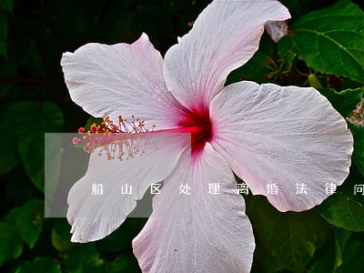 船山区处理离婚法律问题的律师