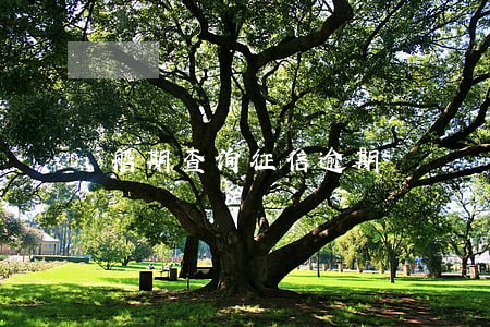 船期查询征信逾期 船期查询征信逾期