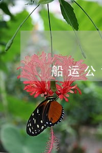 船运公司货柜逾期怎么办 船运公司货柜逾期怎么办
