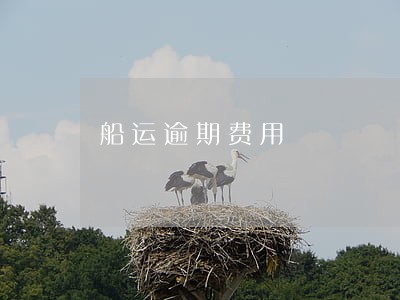 船运逾期费用 船运逾期费用