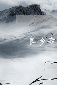 良乡专业免费法律咨询