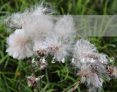 良庆区专业债务合同律师 良庆区专业债务合同律师
