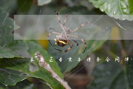 良庆区专业办债务合同律师团队 良庆区专业办债务合同律师团队