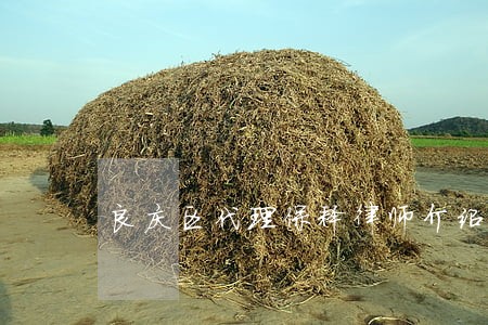 良庆区代理保释律师介绍 良庆区代理保释律师介绍