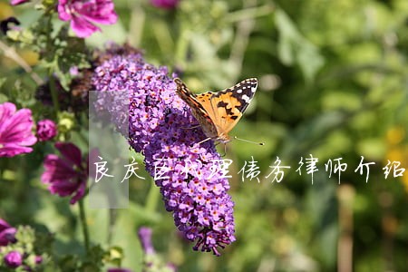 良庆区代理债务律师介绍 良庆区代理债务律师介绍