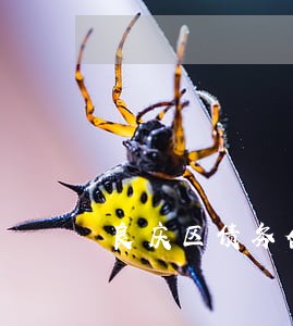 良庆区债务合同律师排行 良庆区债务合同律师排行