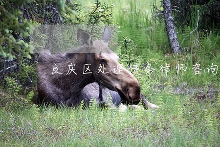 良庆区处理债务律师咨询热线 良庆区处理债务律师咨询热线