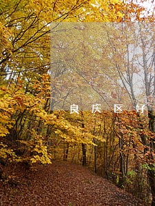 良庆区好的债务担保律师面谈 良庆区好的债务担保律师面谈