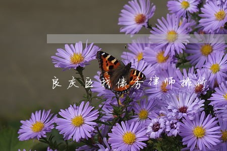 良庆区找债务律师排行 良庆区找债务律师排行