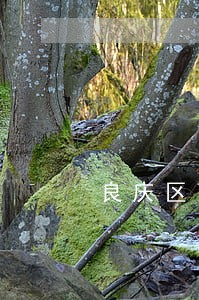 良庆区离婚合同律师地址 良庆区离婚合同律师地址