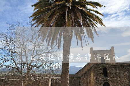 良庆区请债务律师团队 良庆区请债务律师团队