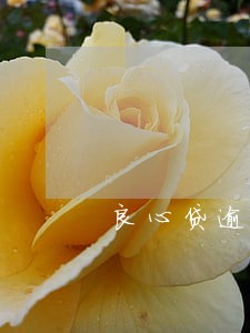 良心贷逾期一年 良心贷逾期一年