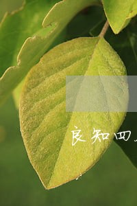 良知四合院违法 良知四合院违法