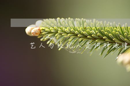 艺人与经纪人是何种法律关系 艺人与经纪人是何种法律关系
