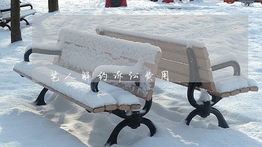 艺人解约诉讼费用 艺人解约诉讼费用