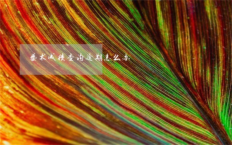 艺术成绩查询逾期怎么办 艺术成绩查询逾期怎么办