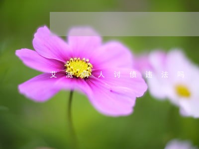 艾滋病人讨债违法吗 艾滋病人讨债违法吗