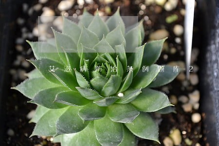 艾滋病防治条例题库2