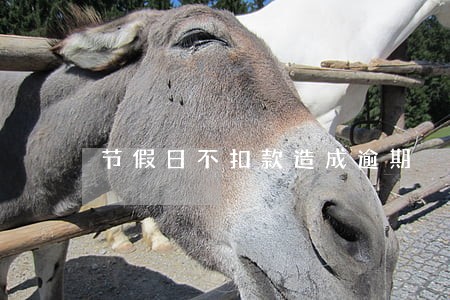 节假日不扣款造成逾期 节假日不扣款造成逾期
