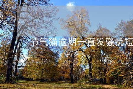 节气猫逾期一直发骚扰短信 节气猫逾期一直发骚扰短信