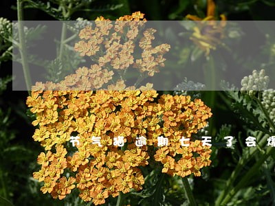 节气猫逾期七天了会爆通讯录吗 节气猫逾期七天了会爆通讯录吗