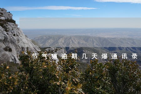 节气猫逾期几天爆通讯录 节气猫逾期几天爆通讯录