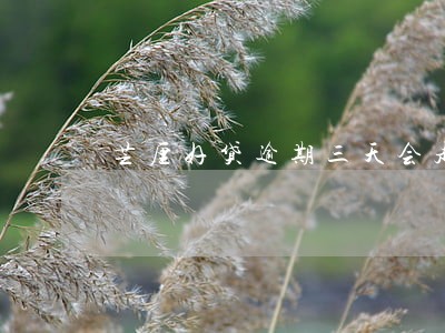 芒厘好贷逾期三天会走司法程序吗 芒厘好贷逾期三天会走司法程序吗