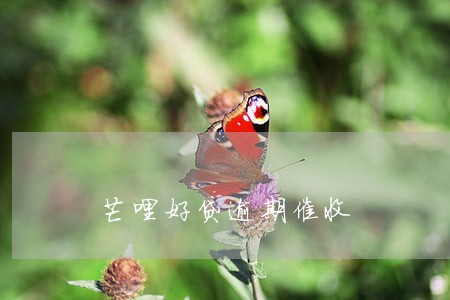 芒哩好贷逾期催收 芒哩好贷逾期催收
