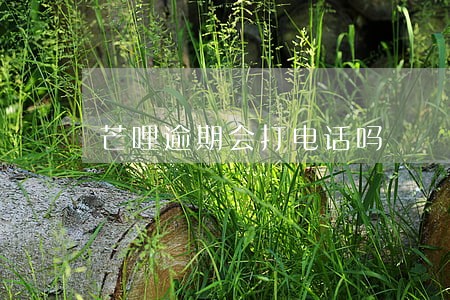 芒哩逾期会打电话吗 芒哩逾期会打电话吗