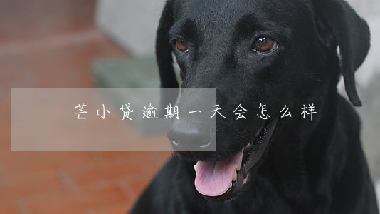 芒小贷逾期一天会怎么样 芒小贷逾期一天会怎么样
