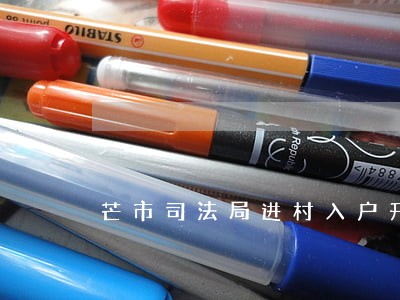 芒市司法局进村入户开展遍访工作