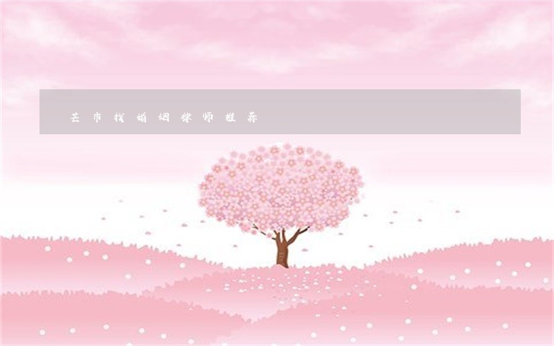 芒市找婚姻律师推荐 芒市找婚姻律师推荐