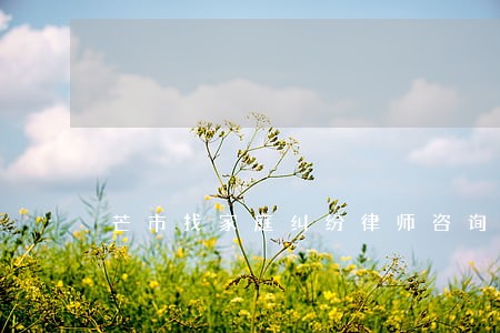 芒市找家庭纠纷律师咨询服务