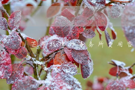 芒市找律师事务所费用咨询 芒市找律师事务所费用咨询