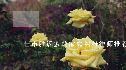 芒市胜诉多的家庭纠纷律师推荐 芒市胜诉多的家庭纠纷律师推荐