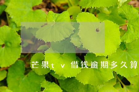 芒果tv借钱逾期多久算严重 芒果tv借钱逾期多久算严重