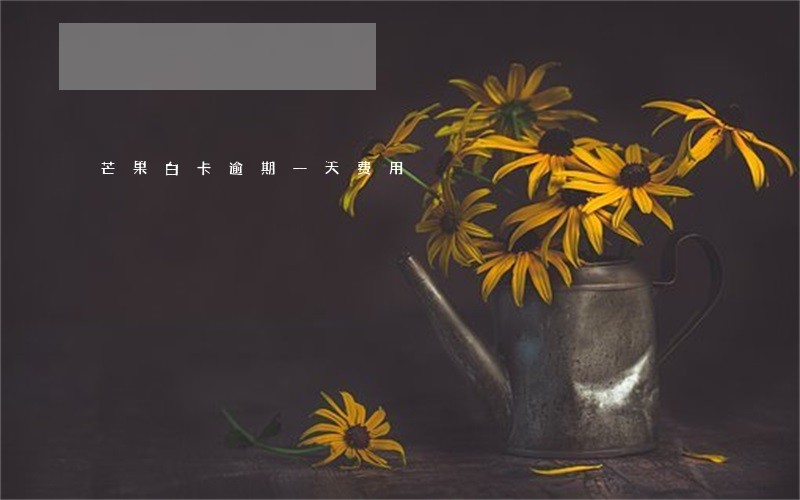 芒果白卡逾期一天费用 芒果白卡逾期一天费用