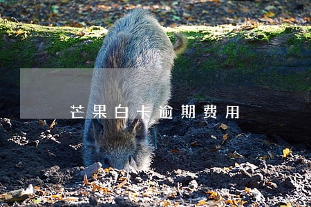 芒果白卡逾期费用 芒果白卡逾期费用
