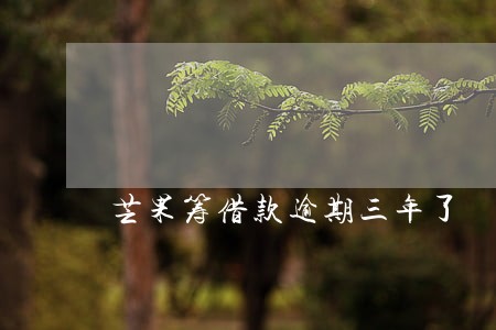 芒果筹借款逾期三年了 芒果筹借款逾期三年了