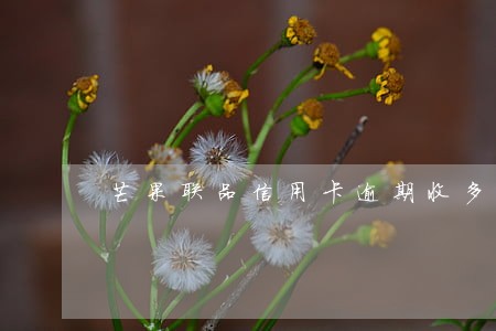 芒果联品信用卡逾期收多少利息 芒果联品信用卡逾期收多少利息