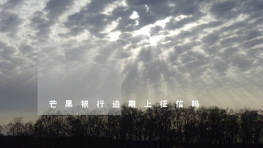 芒果银行逾期上征信吗 芒果银行逾期上征信吗