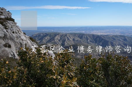芙蓉区企业债务律师咨询费 芙蓉区企业债务律师咨询费