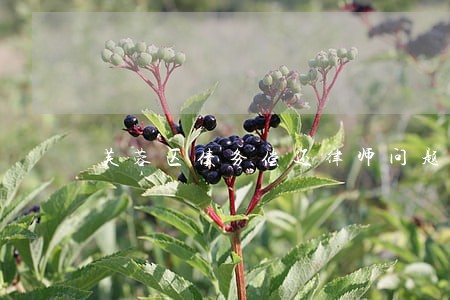 芙蓉区债务偿还律师问题咨询 芙蓉区债务偿还律师问题咨询