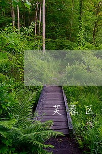 芙蓉区债务官司律师怎么找
