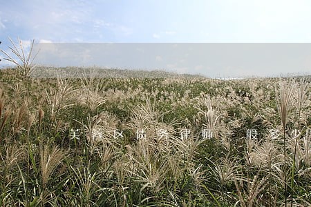 芙蓉区债务律师一般多少钱 芙蓉区债务律师一般多少钱