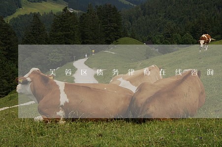 芙蓉区债务律师在线咨询 芙蓉区债务律师在线咨询