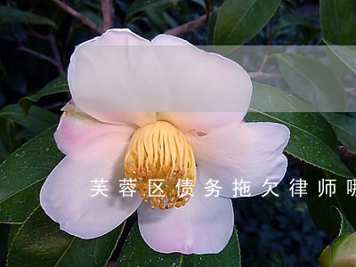 芙蓉区债务拖欠律师哪家强 芙蓉区债务拖欠律师哪家强