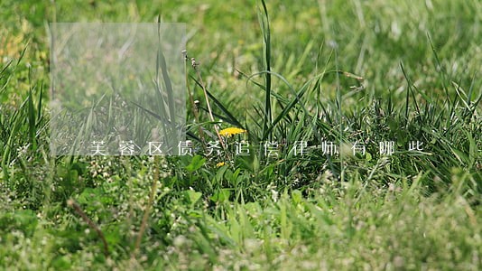 芙蓉区债务追偿律师有哪些 芙蓉区债务追偿律师有哪些