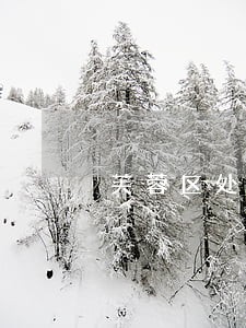 芙蓉区处理债务纠纷律师费多少 芙蓉区处理债务纠纷律师费多少