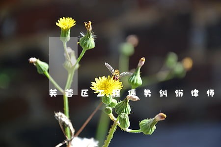 芙蓉区工程债务纠纷律师比较好 芙蓉区工程债务纠纷律师比较好